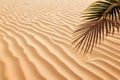 Palm tree leaf casting shadow on warm sand of tropical island tourist resort during summer holiday vacation Royalty Free Stock Photo