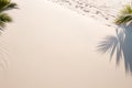 Palm tree leaf casting shadow on warm sand of tropical island tourist resort during summer holiday vacation Royalty Free Stock Photo