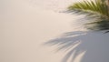 Palm tree leaf casting shadow on warm sand of tropical island tourist resort during summer holiday vacation Royalty Free Stock Photo