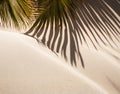 Palm tree leaf casting shadow on warm sand of tropical island tourist resort during summer holiday vacation Royalty Free Stock Photo