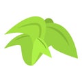 Palm tree leaf icon, isometric style Royalty Free Stock Photo