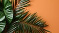 Palm tree leaf isolated on orange background. Tropical foliage closeup. Beauty spa salon concept. Beach summer exotic relax. Palm