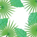 Palm tree leaf border frame background vector image Royalty Free Stock Photo