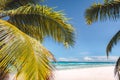 Palm tree leaves against tropical sandy beach and blue ocean. Travel tourism concept Royalty Free Stock Photo