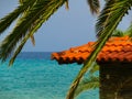 Palm tree leaves and brenches over the turqoise waters of the Aegean Sea in Kallithea, Greece