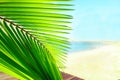 Palm tree leaves over peaceful tropical beach background, blue sea landscape card Royalty Free Stock Photo