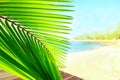 Palm tree leaves over peaceful tropical beach background, blue sea landscape card Royalty Free Stock Photo