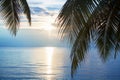 Palm tree leaves silhouette, sunset on blue sea background, tropical sunrise seascape, bright yellow sun glow reflection on water