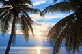 Palm tree leaves silhouette, sunset on blue sea background, tropical sunrise seascape, bright yellow sun glow reflection on water