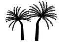 palm tree and leaves silhouette vector for background wallpaper icon web Royalty Free Stock Photo