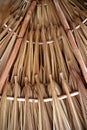 Palm tree leaves in sunroof palapa hut roofing