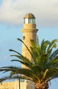 Palm tree and lighthouse