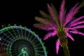 Palm Tree Lights with Ferris Wheel at Night Royalty Free Stock Photo