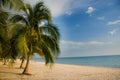 Palm tree lined beach, Playa Acone