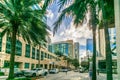 Palm tree lined Las Olas Boulevard, a vibrant and cosmopolitan thoroughfare renowned for