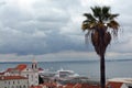 Palm tree. Lisbon. Portugal. Roofs of Alfama buildings. Tejo river. Travel Portugal. Old Europe. Red and white. Blue. Wonderful.