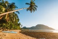 Palm tree and local boat at golden sunset light. El Nido bay. Palawan. Philippines Royalty Free Stock Photo