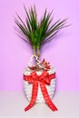Palm tree with long green leaves in a white wicker pot with a red bow Royalty Free Stock Photo