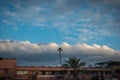 A palm tree in Marrakesh in Morocco, Africa Royalty Free Stock Photo