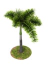 Palm tree model