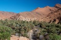 Palm tree oasis in Ait Mansour valley