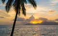 Palm tree and ocean with beautiful sunset. Royalty Free Stock Photo