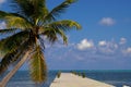 Ambergris Caye Belize