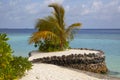 Palm tree and ocean view, Maldives Royalty Free Stock Photo