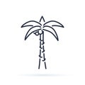 Palm tree outline icon. linear style sign for mobile concept and web design. Coco palm simple line vector icon.