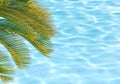 Palm tree over pool Royalty Free Stock Photo