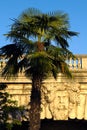 Palm tree Paris Plage near Pont Notre-Dame Seine river tourist attraction Royalty Free Stock Photo