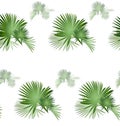 Palm tree pattern-02