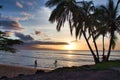 People in silhouette playing in the water on the beach at sunset. Royalty Free Stock Photo