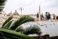 Palm tree in Piazza del Popolo. Rome, Italy. Royalty Free Stock Photo