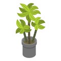 Palm tree pot icon, isometric style Royalty Free Stock Photo