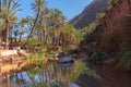 Palm tree reflection in Paradise Valley oasis Agadir morocco Royalty Free Stock Photo