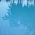 Palm tree reflection in a pool Royalty Free Stock Photo