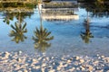 Palm tree reflection in saltwater Royalty Free Stock Photo