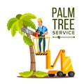 Palm Tree Care Vector. Trimming Tree Or Removal To Tree Pruning. Isolated On White Cartoon Character Illustration Royalty Free Stock Photo