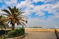 Palm tree and road on embankment near port of Antibes, France. Fort Carre on background