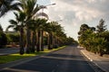 Palm tree road on a sunny day Royalty Free Stock Photo
