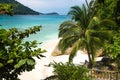 Palm tree and rocks on white sand beach at Pulau Perhentian, Malaysia. Royalty Free Stock Photo