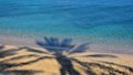 Palm tree`s shadow on sandy beach