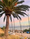 Palm tree with sailing boats at Playa de Cap Blanc, Cullera