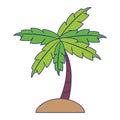 Palm tree in sand cartoon isolated