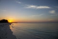 Palm tree sandy beach sunrise Royalty Free Stock Photo