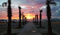 Palm tree sandy beach sunrise Royalty Free Stock Photo