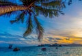 Palm tree by the sea in Anse Reunion beach at sunset Royalty Free Stock Photo