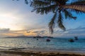 Palm tree by the sea in Anse Reunion beach at sunset Royalty Free Stock Photo