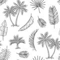 Palm tree seamless background. Tropical coconut palm, exotic island. Vintage hand drawing abstract floral summer vector